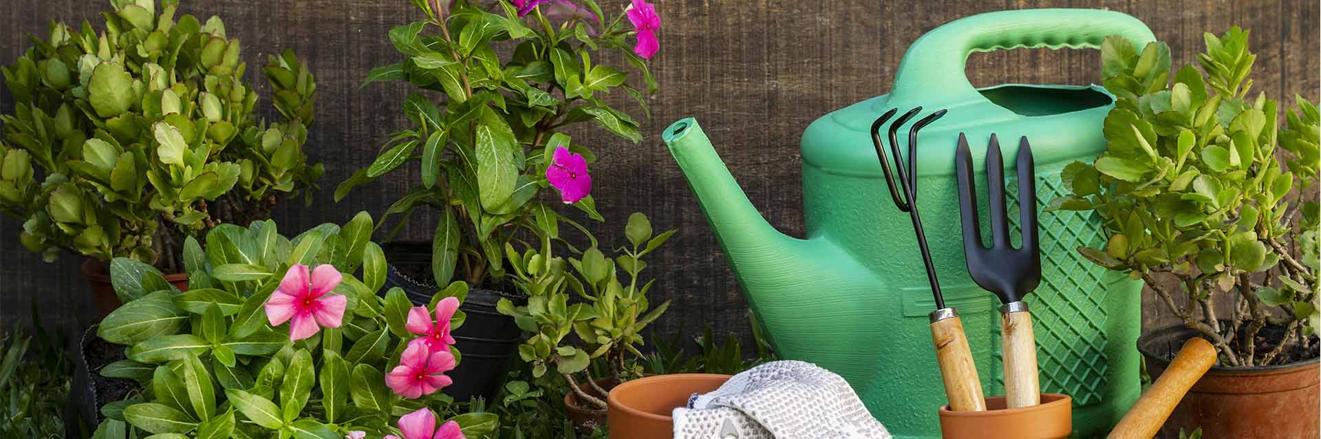 Conheça como montar um jardim em casa em poucos passos!