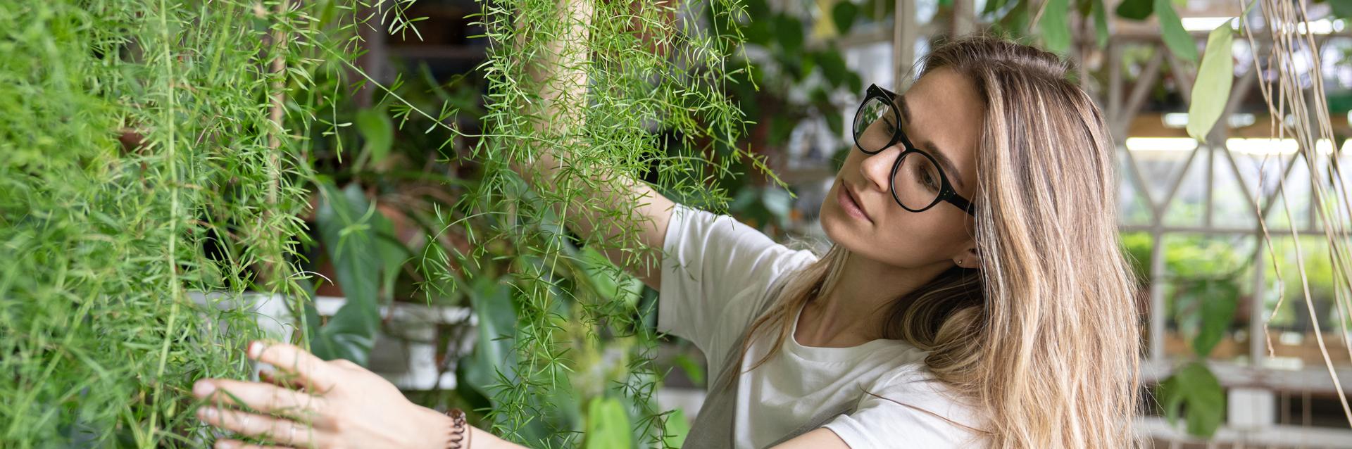 Como fazer jardim vertical para a sua casa