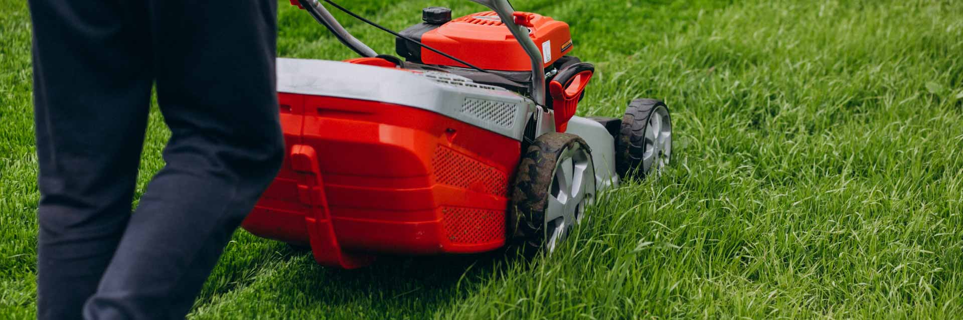 Review: Opções para cuidar do jardim: veja os modelos