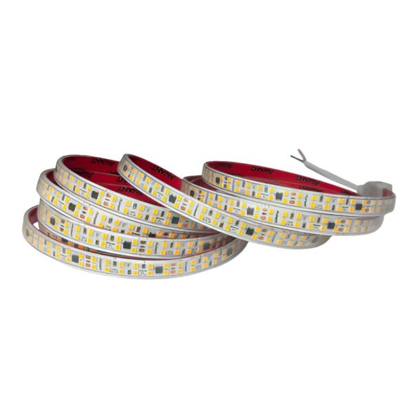 Fita LED 5 Metros 10W/m IP65 100 Lúmens 220V Avant