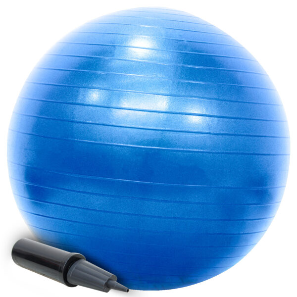 Bola Pilates Suíça 65cm Com Bomba Yoga Abdominais 200kg