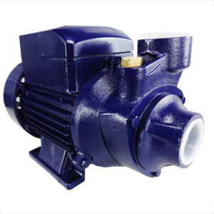 Bomba d'água elétrica periférica 0.5 HP 1Pol - Bivolt