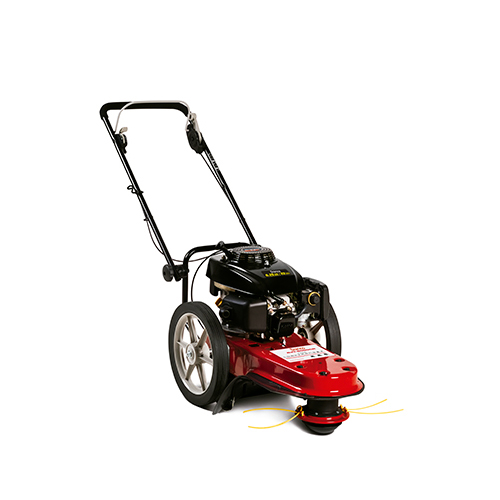 Cortador de Relva 5,5 CV 3600 RPM B4T6000CR