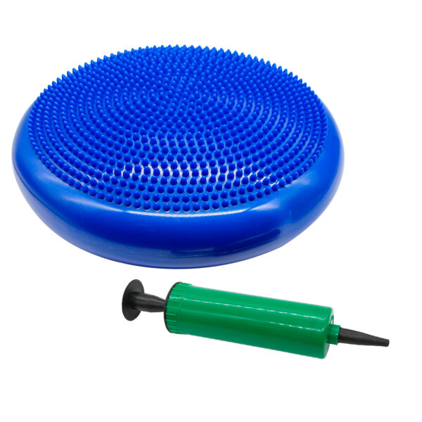 Disco de Equilíbrio 33cm Yoga Pilates Fisioterapia com Bomba Inflável