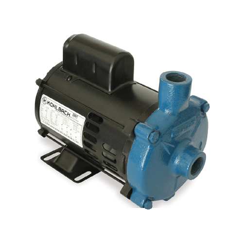 Motobomba Centrífuga 1 1.0 CV, Monoestágio Monofásica 110/220v - ECS 100MP