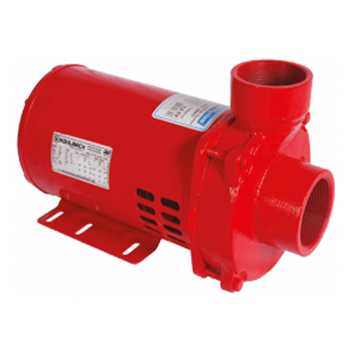 Motobomba incêndio 2.1/2 2.1/2 2.0 cv monofásica 110v/220v - ECS-200 IN