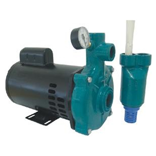 Motobomba injetora 1 3/4 3/4 cv monofásica 110v/220v- ECI-75M
