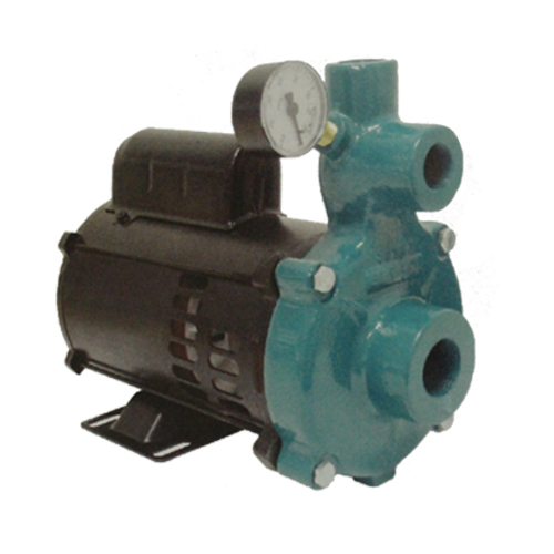 Motobomba Centrífuga Injetora, Monoestágio, 110V/220V, 1/3cv, Injetor I-210, 4 Polegadas - ECI-50M