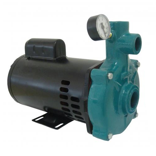 Motobomba Centrífuga Injetora, Monofásica, 110V/220V, 2cv, Injetor I-213, 4 Polegadas - ECI-200v M/T