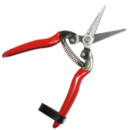 Tesoura para Raleio, Inox, 18cm